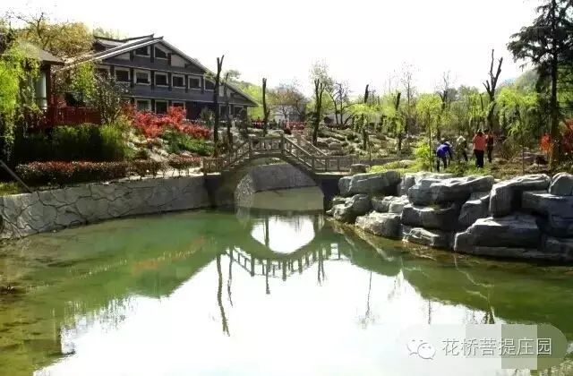 這個周末，隴南康縣花橋有大事要發(fā)生？