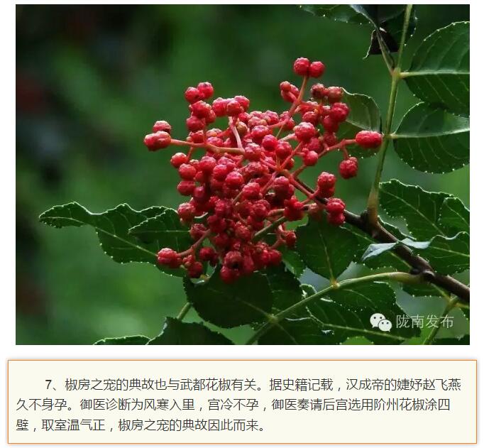 蘭渝鐵路最早由孫中山先生提出？在隴南，你不知道的事兒還有……