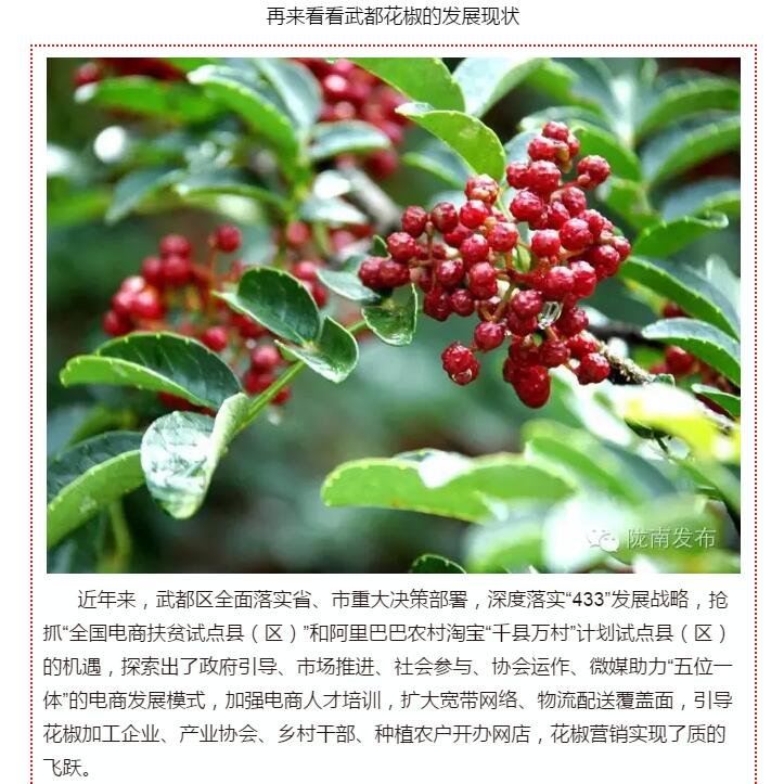5.28億！一場(chǎng)盛會(huì)，武都花椒“火”了