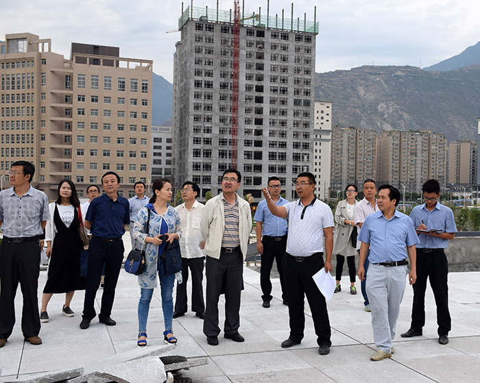 省、市聯(lián)合工作組蒞臨階州廣場(chǎng)檢查指導(dǎo)工作