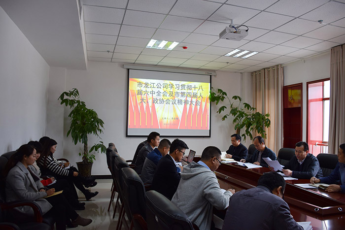 市龍江公司召開全體員工大會，專題傳達學習上級會議精神