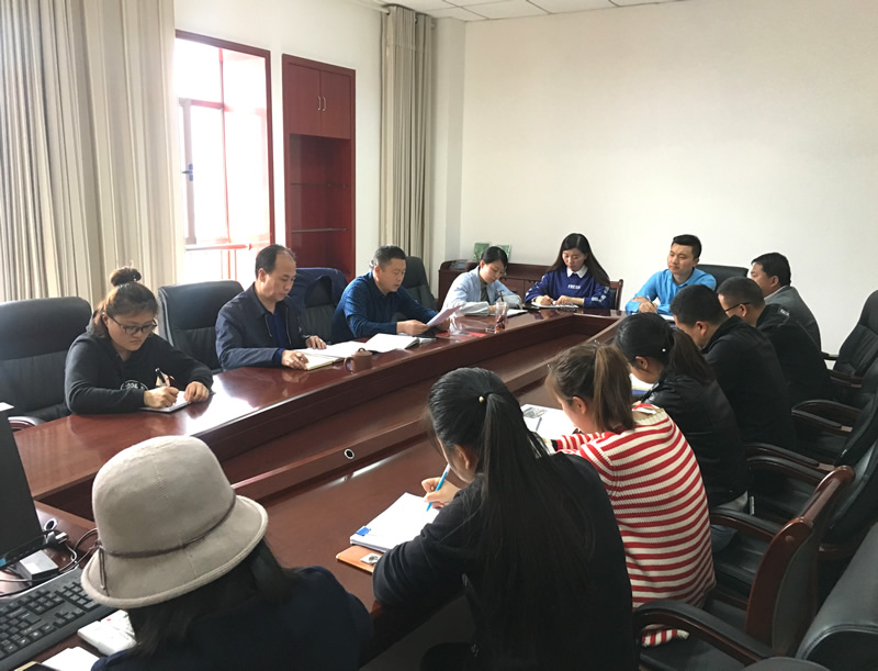 市龍江城鄉(xiāng)發(fā)展集團(tuán)專題學(xué)習(xí)近期中央、省、市紀(jì)律檢查委員會(huì)議精神