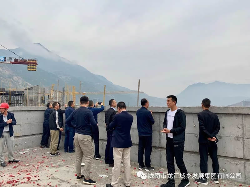 匠心傾注、喜封金頂——龍江?雙子座商住小區(qū)主體順利封頂