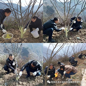 市龍江集團在文縣橋頭鎮(zhèn)安子坡村開展“解難題、辦實事、送溫暖”活動