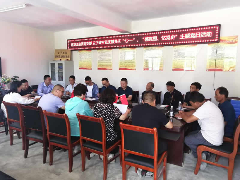 “感黨恩、憶黨史”，--市龍江城鄉(xiāng)發(fā)展集團(tuán)公司開展慶祝建黨99周年主題黨日活動