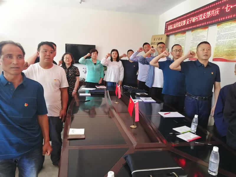 “感黨恩、憶黨史”，--市龍江城鄉(xiāng)發(fā)展集團(tuán)公司開展慶祝建黨99周年主題黨日活動