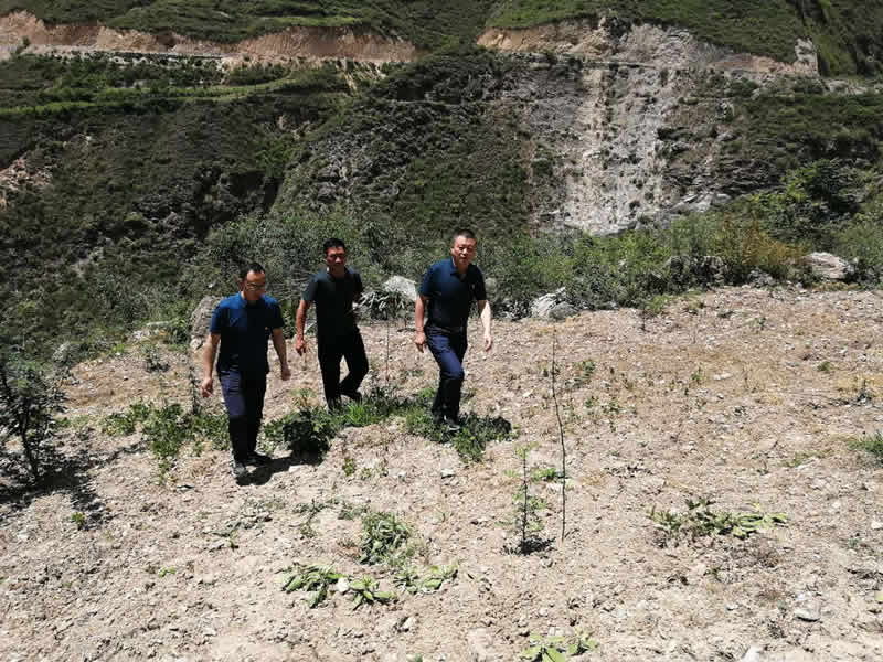 “感黨恩、憶黨史”，--市龍江城鄉(xiāng)發(fā)展集團(tuán)公司開展慶祝建黨99周年主題黨日活動